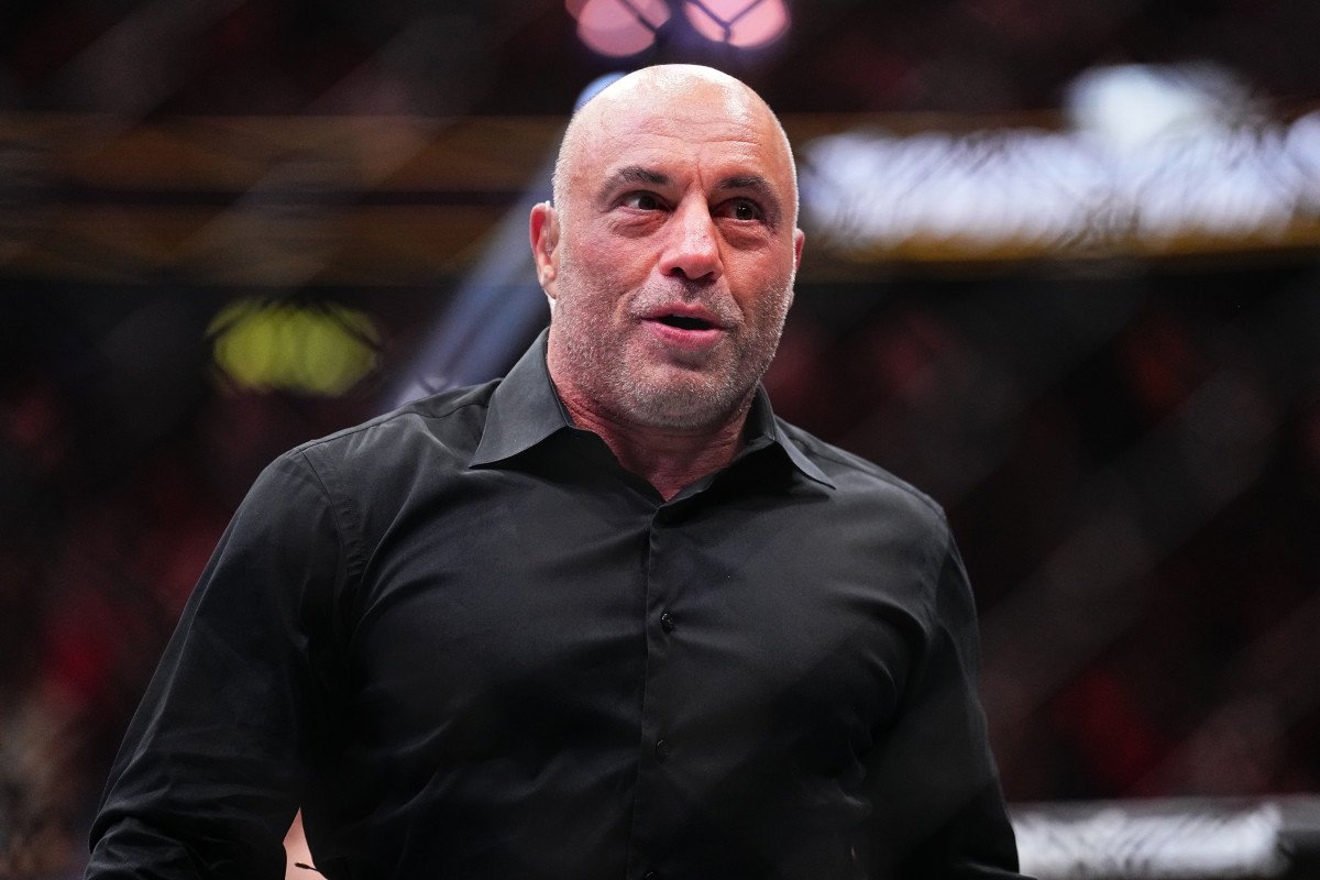 joe rogan net worth